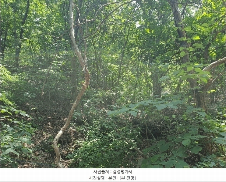 2025타경52270 경기도 광주시 남한산성면 엄미리 산99-1 임야 경매 이미지