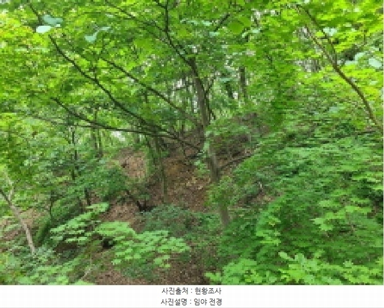 2025타경52270 경기도 광주시 남한산성면 엄미리 산99-1 임야 경매 이미지