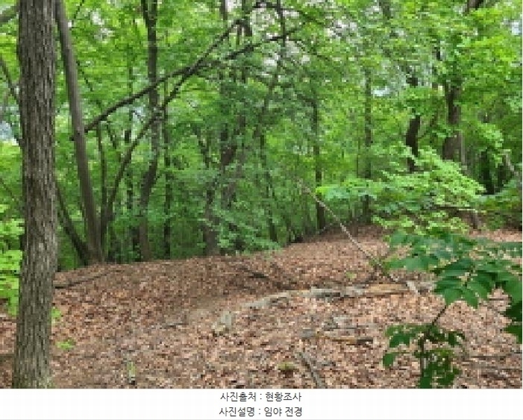 2025타경52270 경기도 광주시 남한산성면 엄미리 산99-1 임야 경매 이미지