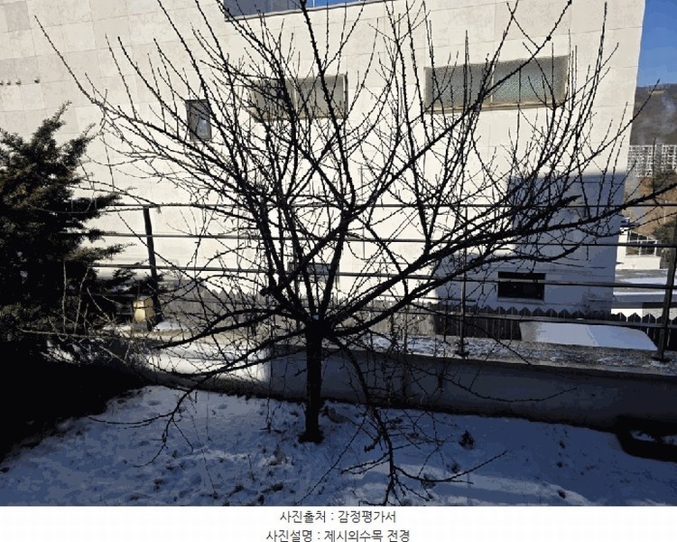 2025타경52282 경기도 광주시 신현동 312-20 주택 경매 이미지