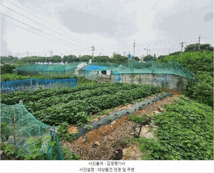 2025타경52664 경기도 안산시 단원구 신길동 216-126 농지 경매 이미지