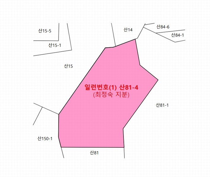 2025타경52855 경기도 시흥시 장현동 산81-4 임야 경매 이미지