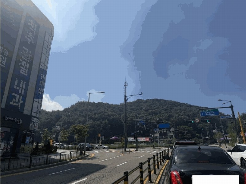 2025타경52855 경기도 시흥시 장현동 산81-4 임야 경매 이미지