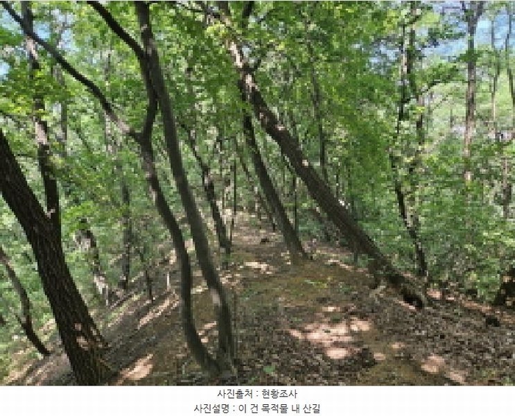 2025타경52855 경기도 시흥시 장현동 산81-4 임야 경매 이미지