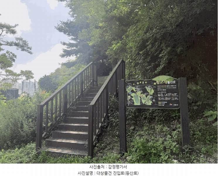 2025타경52855 경기도 시흥시 장현동 산81-4 임야 경매 이미지