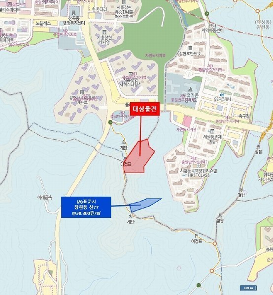 2025타경52855 경기도 시흥시 장현동 산81-4 임야 경매 이미지