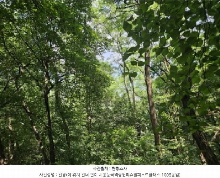 2025타경52855 경기도 시흥시 장현동 산81-4 임야 경매 이미지