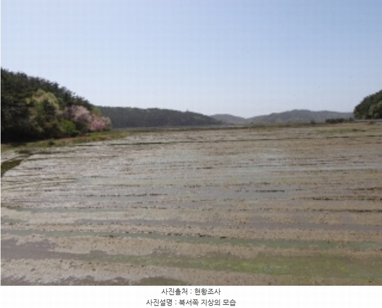 2024타경462 충청남도 태안군 소원면 소근리 산9-43 임야 경매 이미지