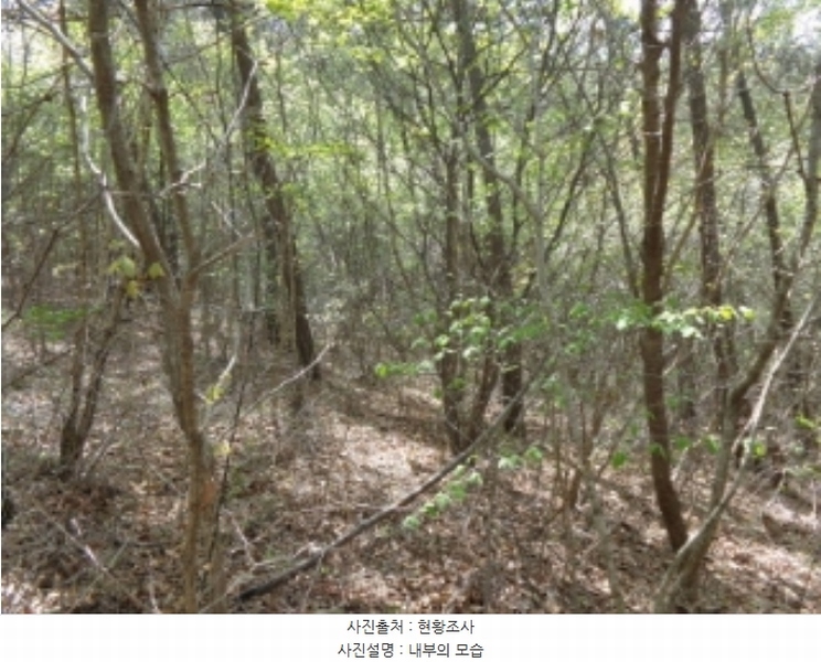 2024타경462 충청남도 태안군 소원면 소근리 산9-43 임야 경매 이미지