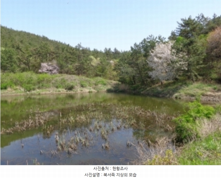 2024타경462 충청남도 태안군 소원면 소근리 산9-43 임야 경매 이미지
