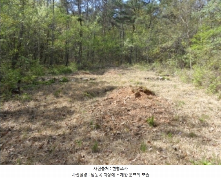 2024타경462 충청남도 태안군 소원면 소근리 산9-43 임야 경매 이미지