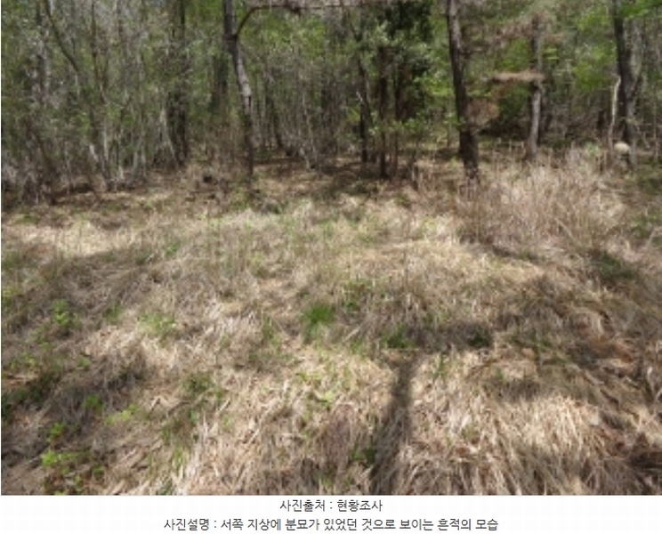 2024타경462 충청남도 태안군 소원면 소근리 산9-43 임야 경매 이미지