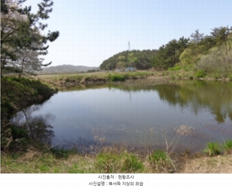 2024타경462 충청남도 태안군 소원면 소근리 산9-43 임야 경매 이미지