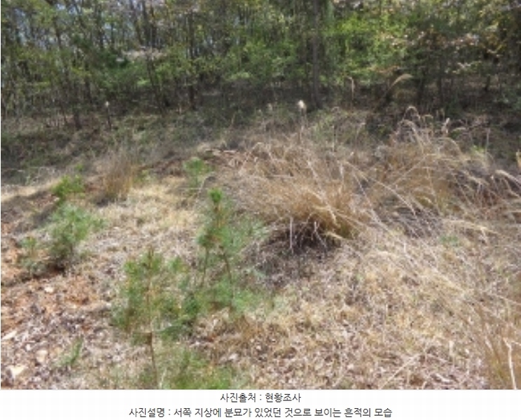 2024타경462 충청남도 태안군 소원면 소근리 산9-43 임야 경매 이미지
