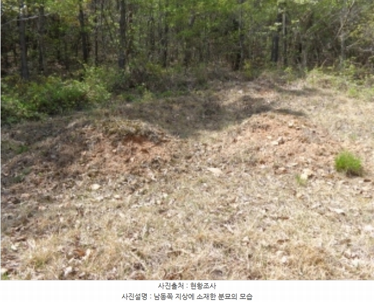 2024타경462 충청남도 태안군 소원면 소근리 산9-43 임야 경매 이미지
