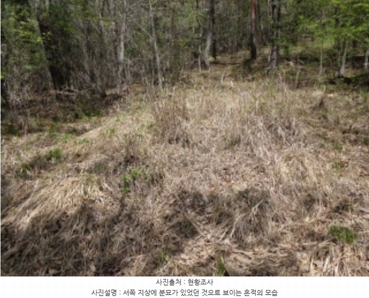 2024타경462 충청남도 태안군 소원면 소근리 산9-43 임야 경매 이미지