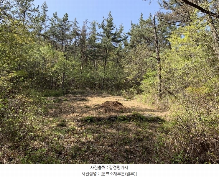 2024타경462 충청남도 태안군 소원면 소근리 산9-43 임야 경매 이미지