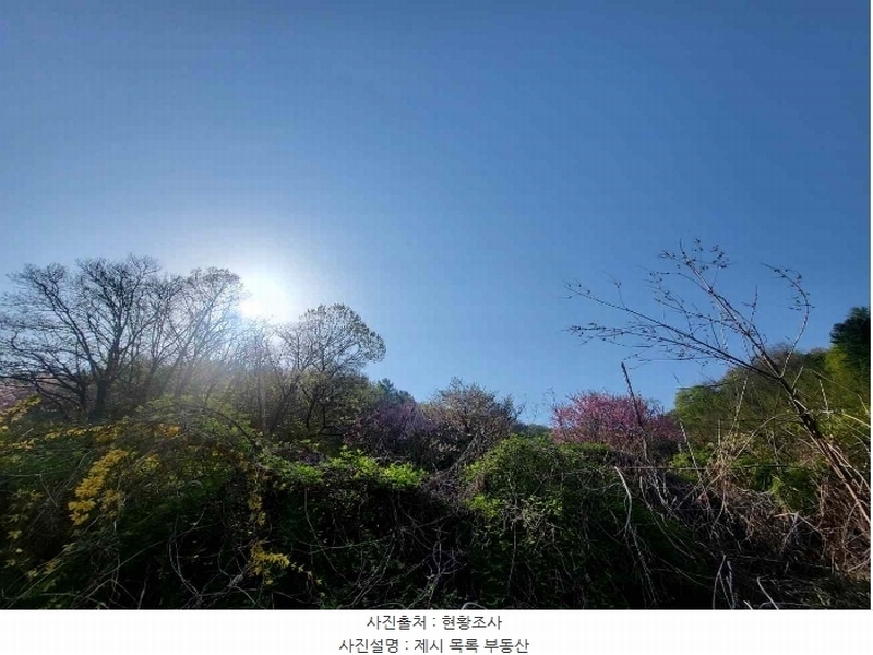 2024타경2024 경기도 여주시 대신면 옥촌리 산7 임야 경매 이미지