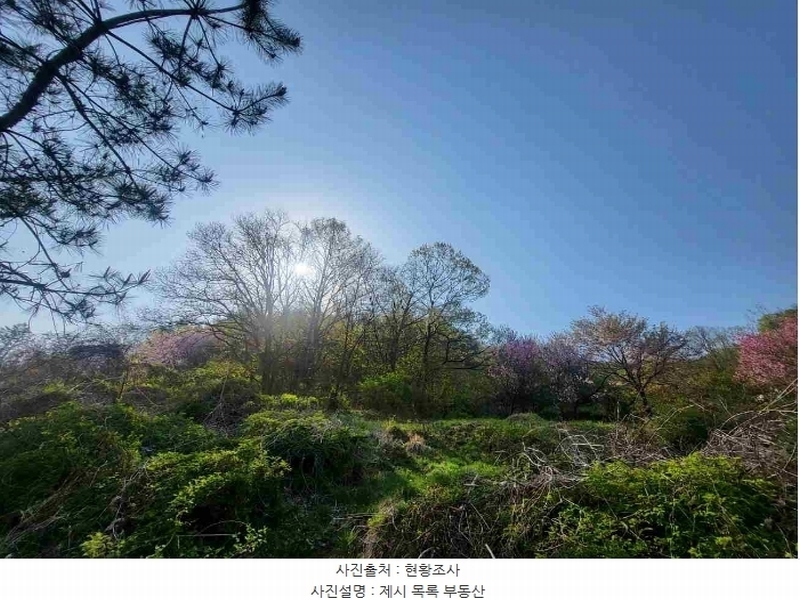 2024타경2024 경기도 여주시 대신면 옥촌리 산7 임야 경매 이미지