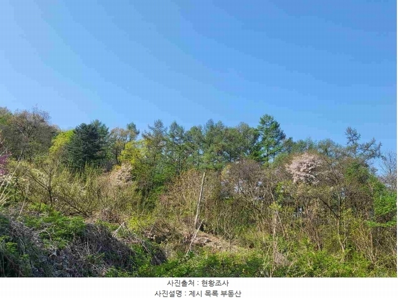 2024타경2024 경기도 여주시 대신면 옥촌리 산7 임야 경매 이미지