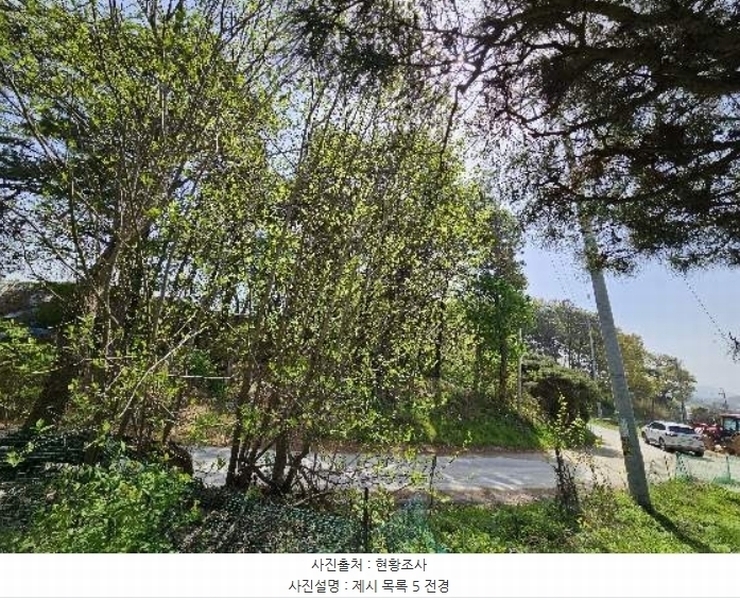 2024타경2031 경기도 여주시 가남읍 본두리 770-15 임야 경매 이미지