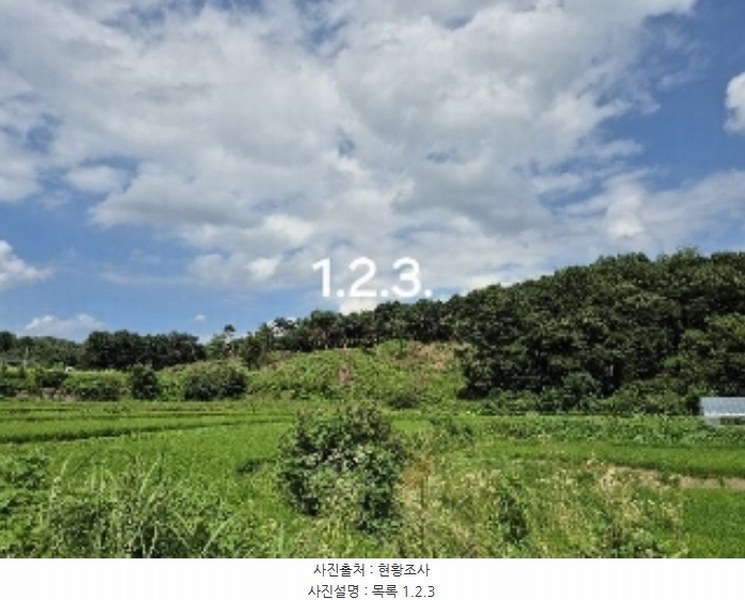 2024타경3973 경기도 양평군 개군면 계전리 산2-1 임야 경매 이미지