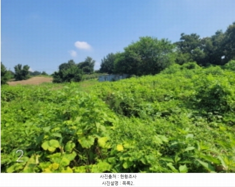 2024타경4259 경기도 이천시 대월면 초지리 495-7 농지 경매 이미지