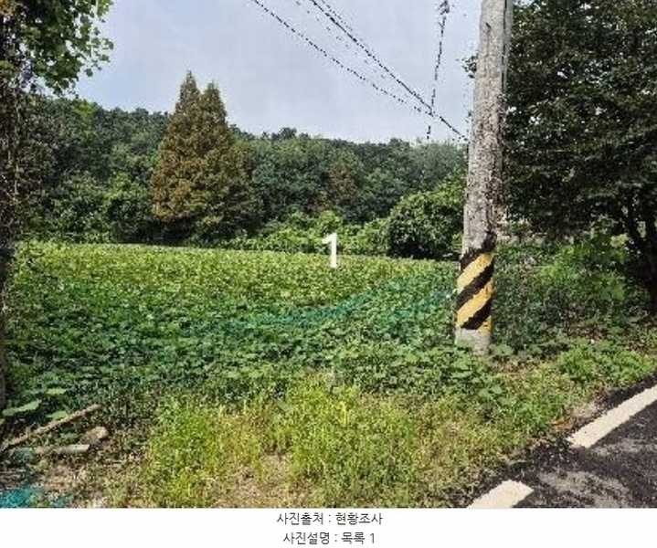 2024타경4310 경기도 여주시 흥천면 다대리 55-2 농지 경매 이미지