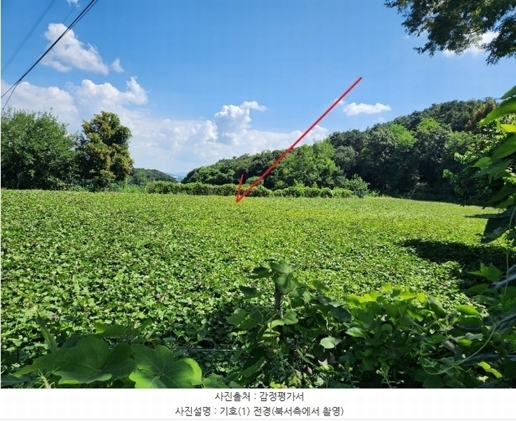 2024타경4310 경기도 여주시 흥천면 다대리 55-2 농지 경매 이미지