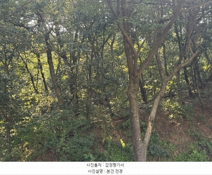 2024타경4327 경기도 여주시 흥천면 복대리 23-10 임야 경매 이미지