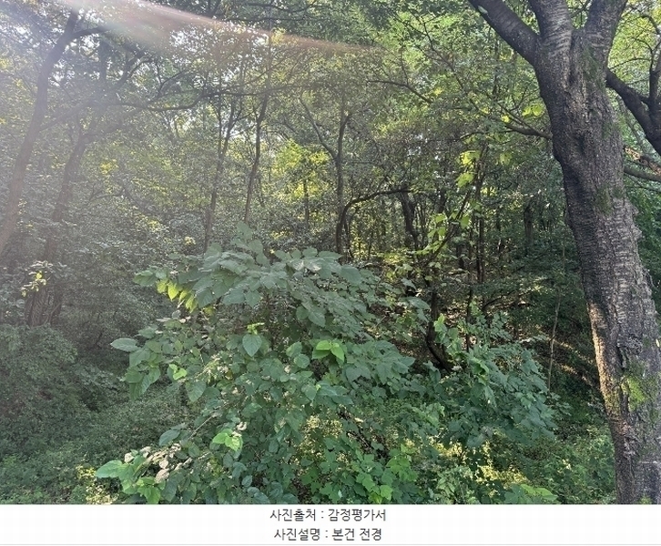 2024타경4327 경기도 여주시 흥천면 복대리 23-10 임야 경매 이미지
