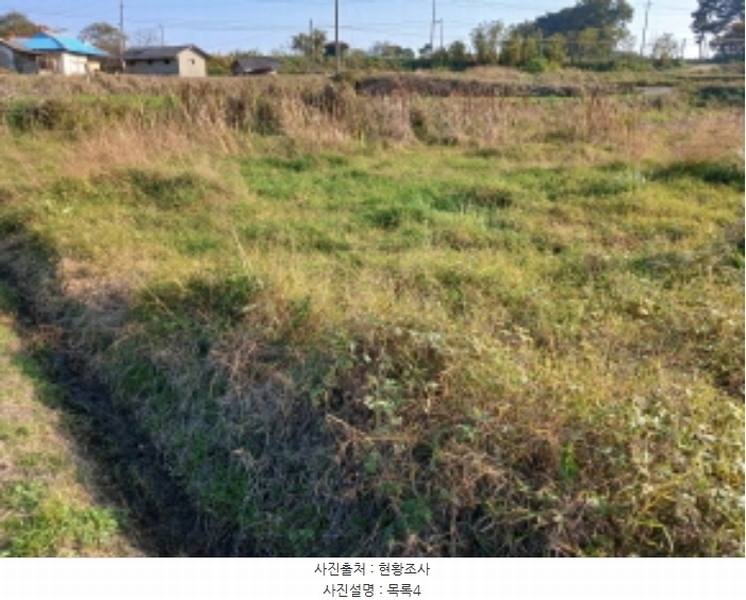 2024타경4495 충청남도 당진시 석문면 삼화리 389 농지 경매 이미지