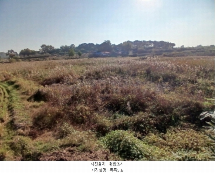 2024타경4495 충청남도 당진시 석문면 삼화리 389 농지 경매 이미지