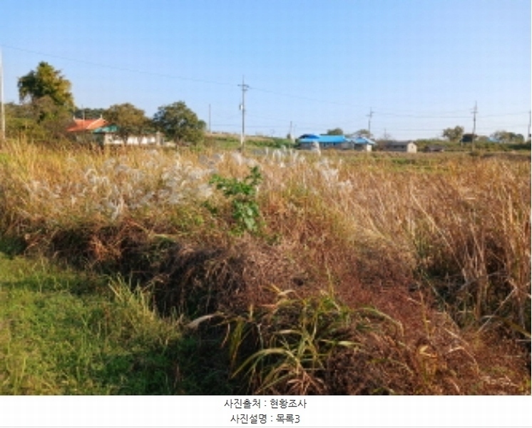 2024타경4495 충청남도 당진시 석문면 삼화리 389 농지 경매 이미지