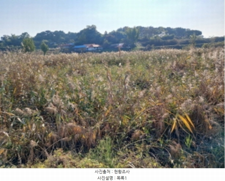 2024타경4495 충청남도 당진시 석문면 삼화리 389 농지 경매 이미지