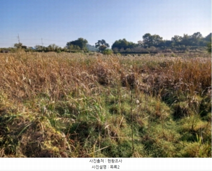 2024타경4495 충청남도 당진시 석문면 삼화리 389 농지 경매 이미지