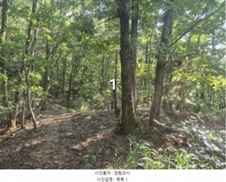 2024타경5122 경기도 양평군 개군면 주읍리 산14-1 임야 경매 이미지