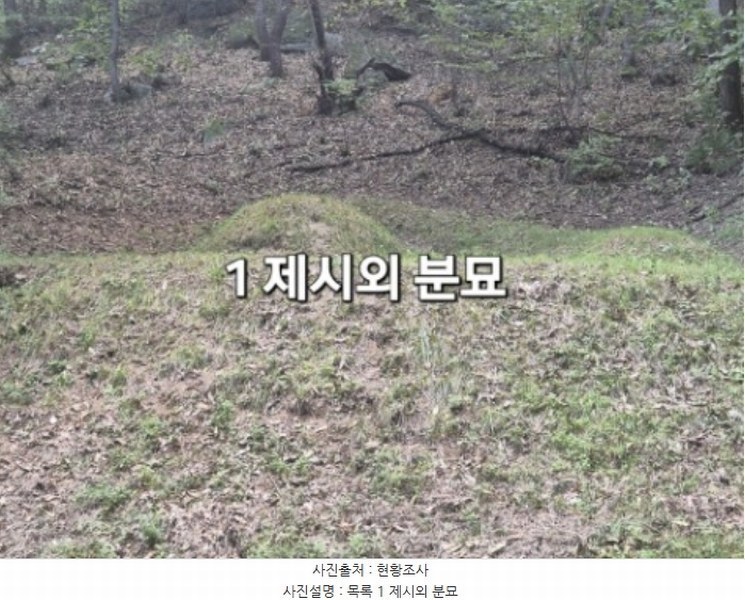 2024타경5122 경기도 양평군 개군면 주읍리 산14-1 임야 경매 이미지