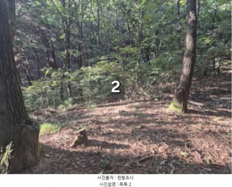 2024타경5122 경기도 양평군 개군면 주읍리 산14-1 임야 경매 이미지