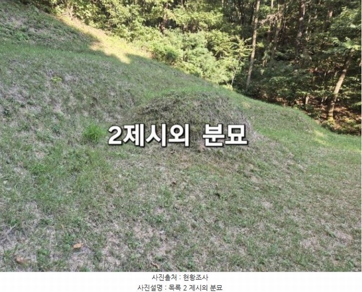 2024타경5122 경기도 양평군 개군면 주읍리 산14-1 임야 경매 이미지