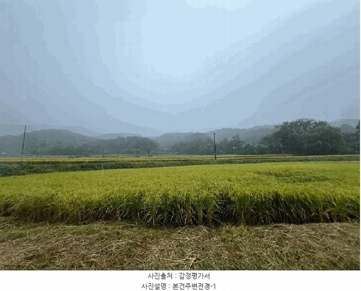 2024타경5122 경기도 양평군 개군면 주읍리 산14-1 임야 경매 이미지
