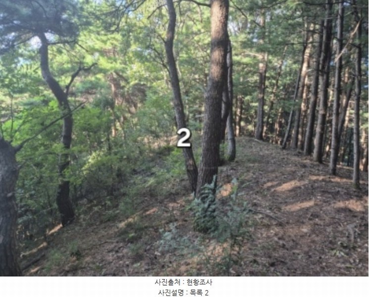 2024타경5122 경기도 양평군 개군면 주읍리 산14-1 임야 경매 이미지