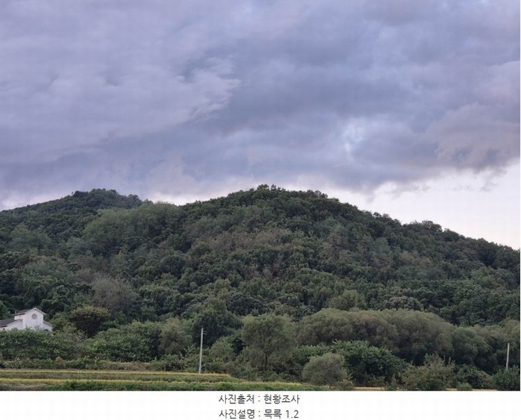 2024타경5122 경기도 양평군 개군면 주읍리 산14-1 임야 경매 이미지