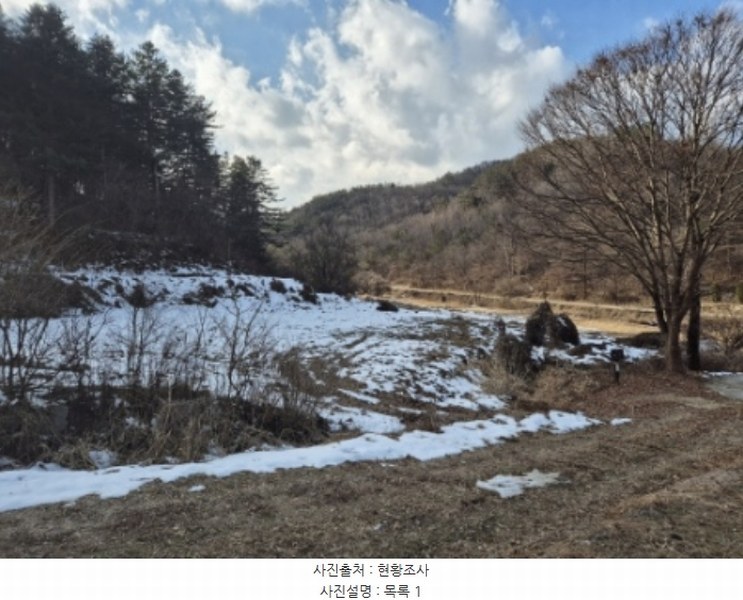 2024타경6873 경기도 양평군 양동면 삼산리 1006-2 농지 경매 이미지
