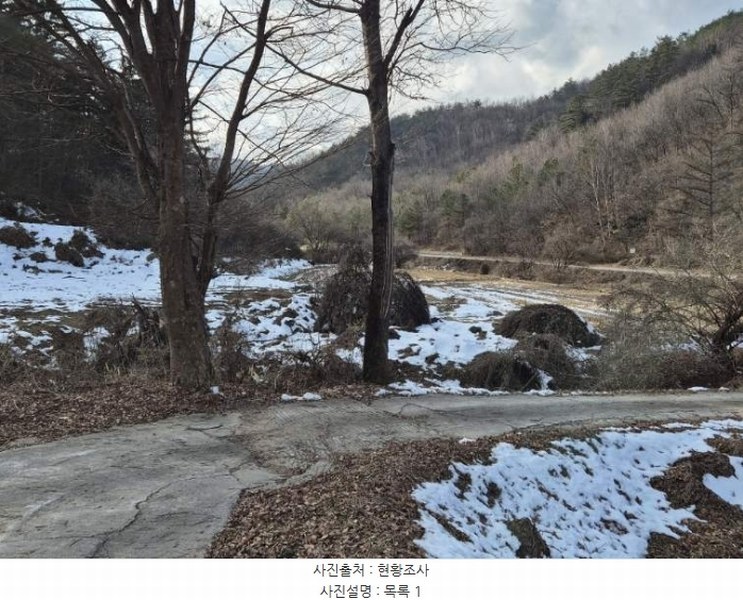 2024타경6873 경기도 양평군 양동면 삼산리 1006-2 농지 경매 이미지