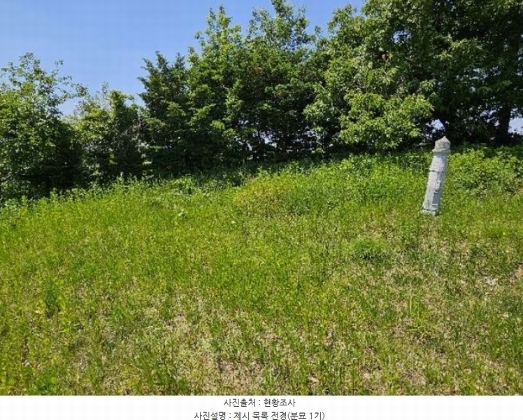 2024타경33837 경기도 이천시 설성면 장천리 산29-2 임야 경매 이미지