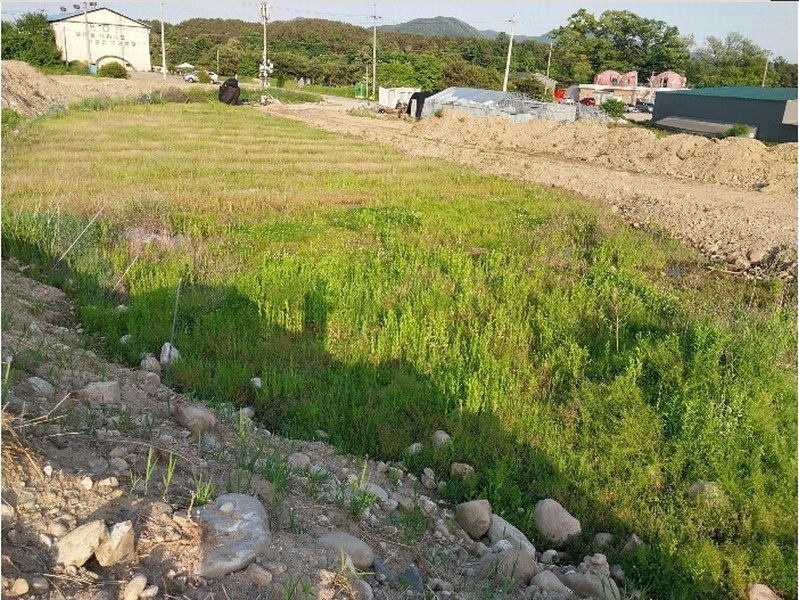 2024타경34458 경기도 양평군 용문면 금곡리 140-7 농지 경매 이미지