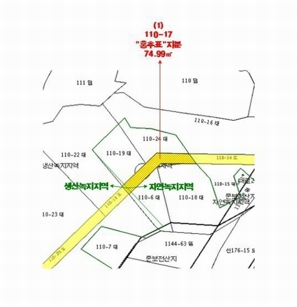 2024타경34472 경기도 이천시 부발읍 무촌리 110-17 도로 경매 이미지