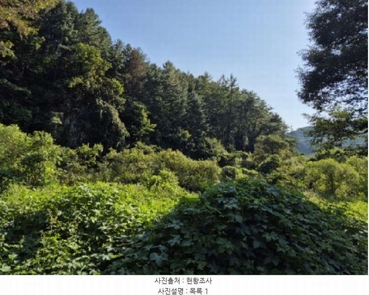 2024타경38139 경기도 양평군 양동면 계정리 293-2 농지 경매 이미지