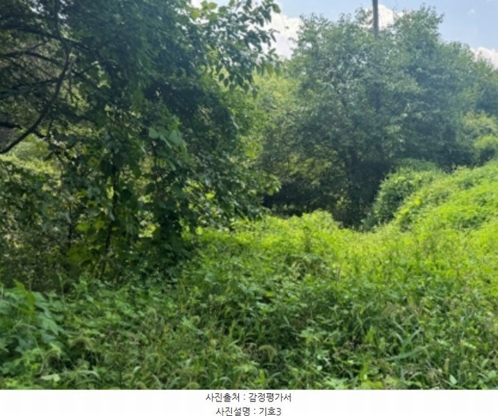 2024타경38139 경기도 양평군 양동면 계정리 293-2 농지 경매 이미지